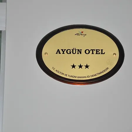 Aygun Hotel 3*