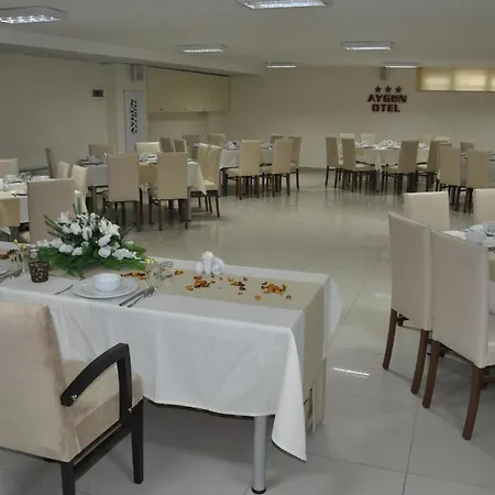 Aygun Hotel 3*
