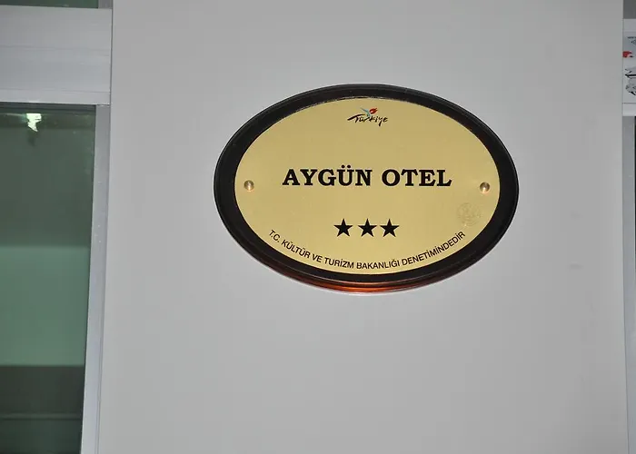 Aygun Hotel 3*