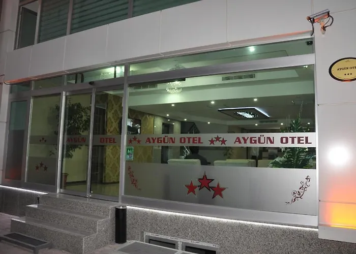 Aygun فندق 3*